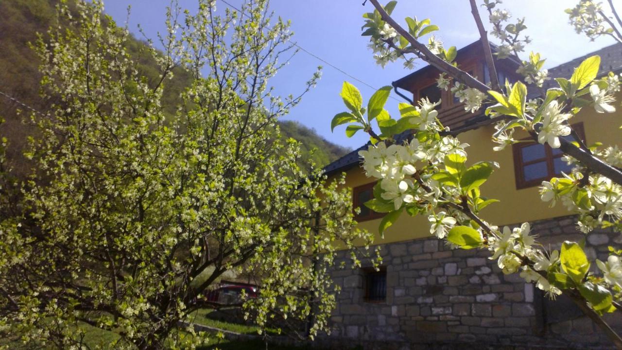 Guest House - Stari Javor B&B Prozor Extérieur photo